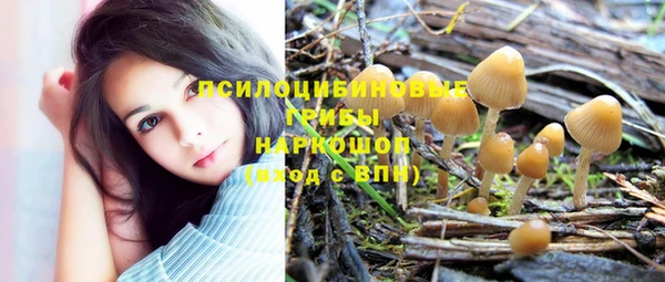 стафф Белокуриха