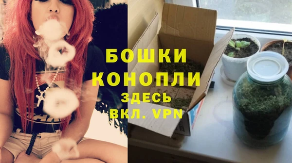 стафф Белокуриха