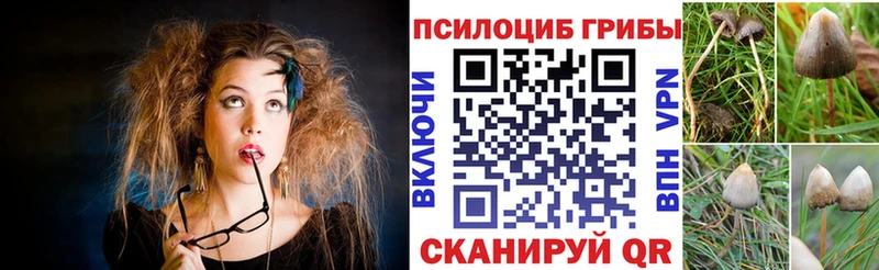 купить наркоту  Набережные Челны  ОМГ ОМГ ТОР  Галлюциногенные грибы прущие грибы 